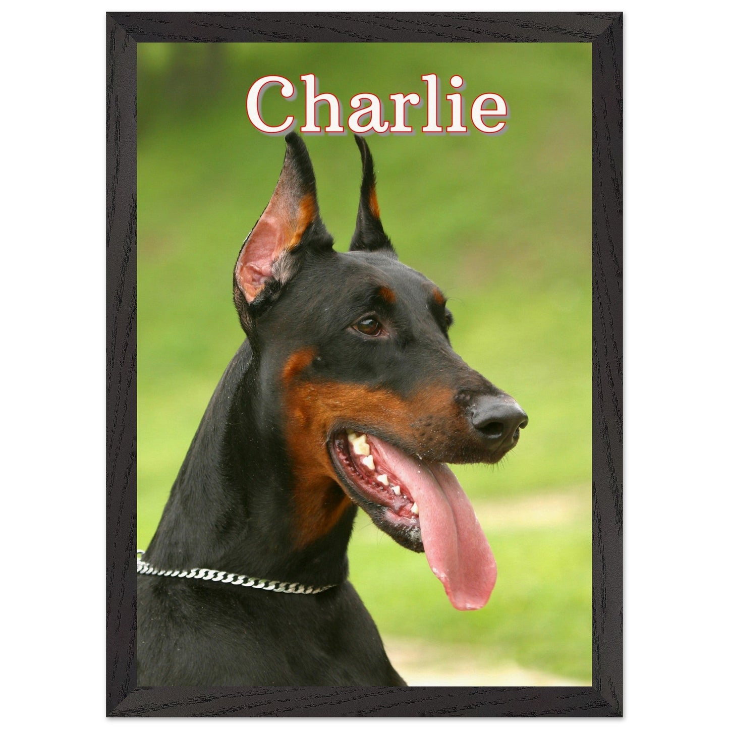 DoberManPrint MaterialBlack frame