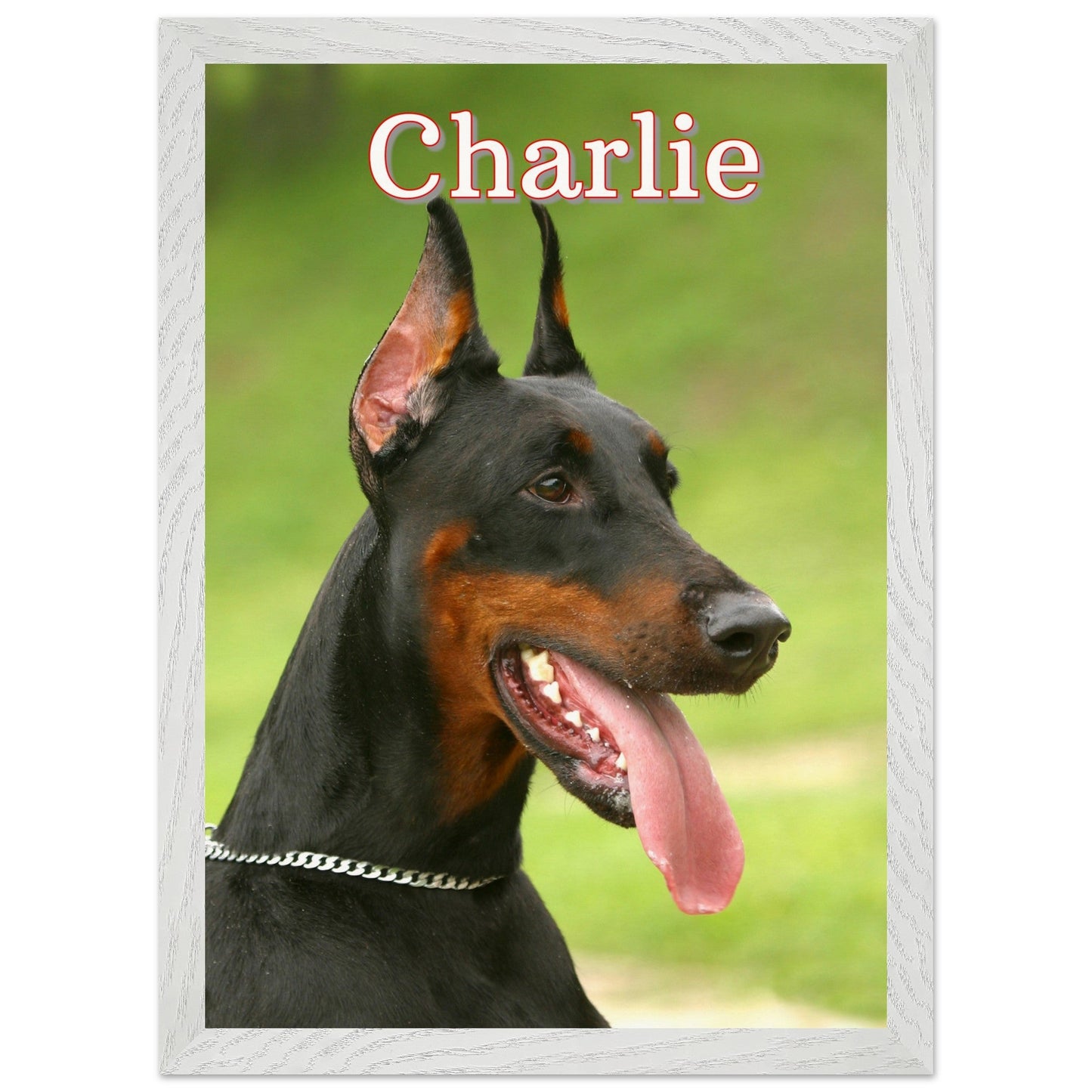DoberManPrint MaterialWhite frame