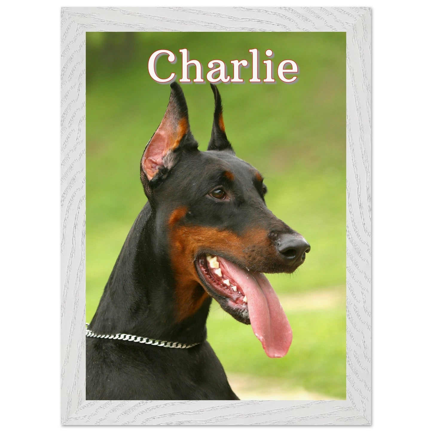 DoberManPrint MaterialWhite frame
