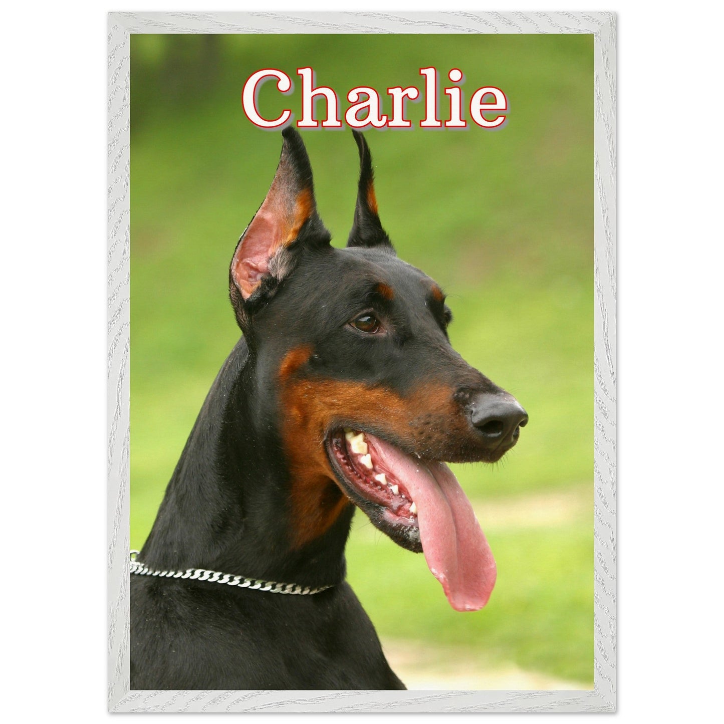DoberManPrint MaterialWhite frame