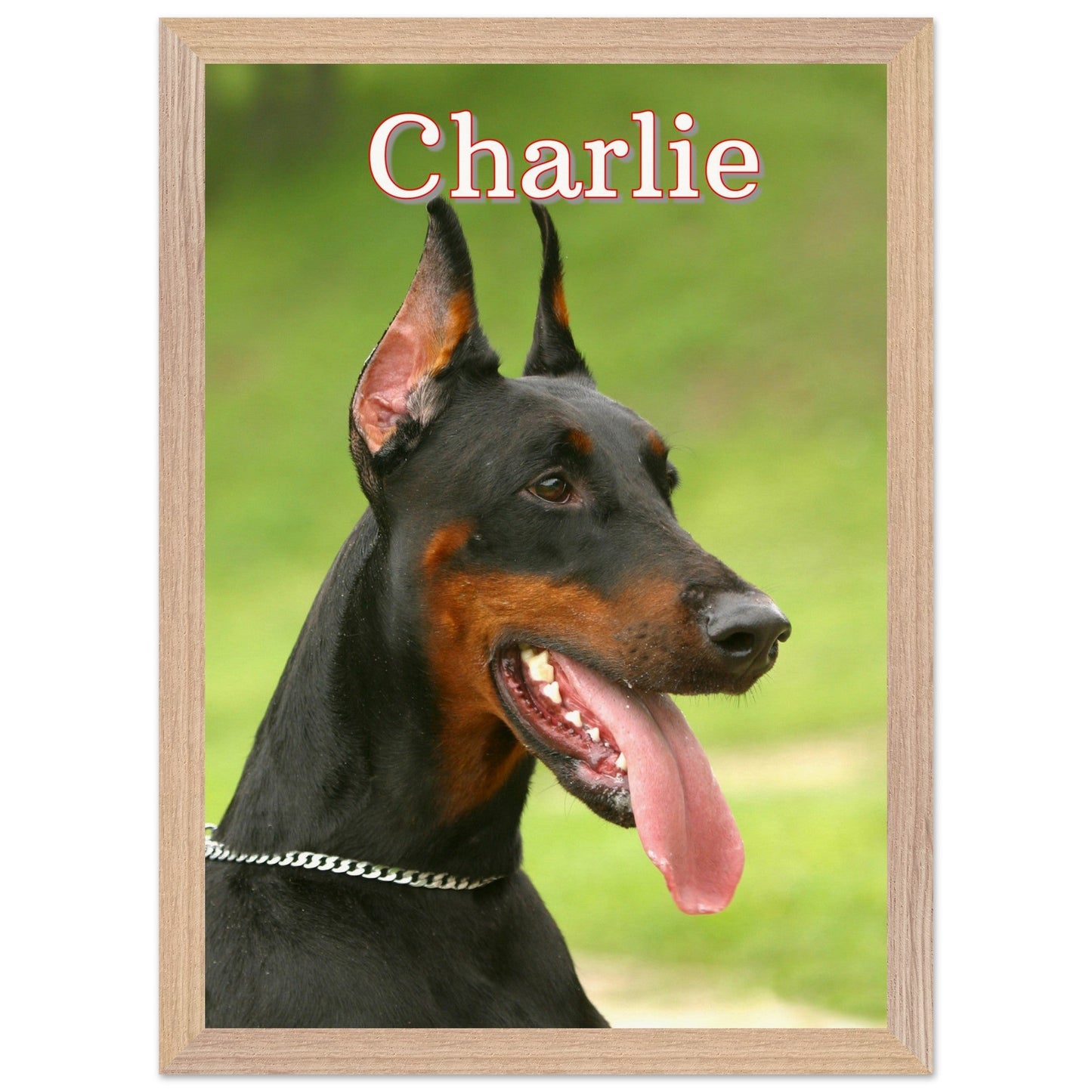 DoberManPrint MaterialWood frame