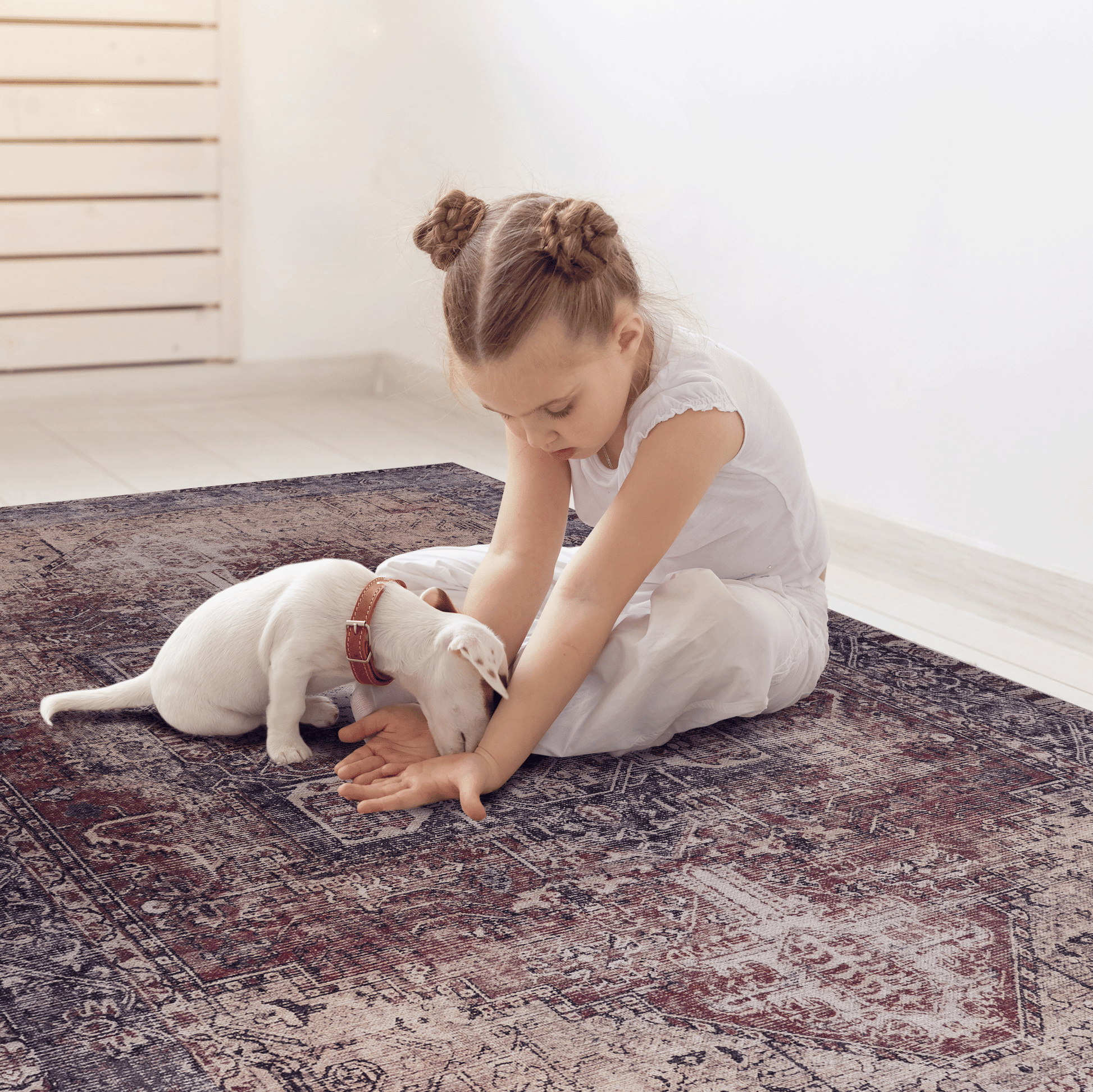 Area Rugs 4x6, Washable Rug, Low - Pile, Non - Slip, Non - Shedding, Foldable, Kid & Pet Friendly - Area Rugs for living room, bedroom, kitchen, dining room rug - for Gifts, (Burgundy, 4' x 6')as PicAbstract Rugs