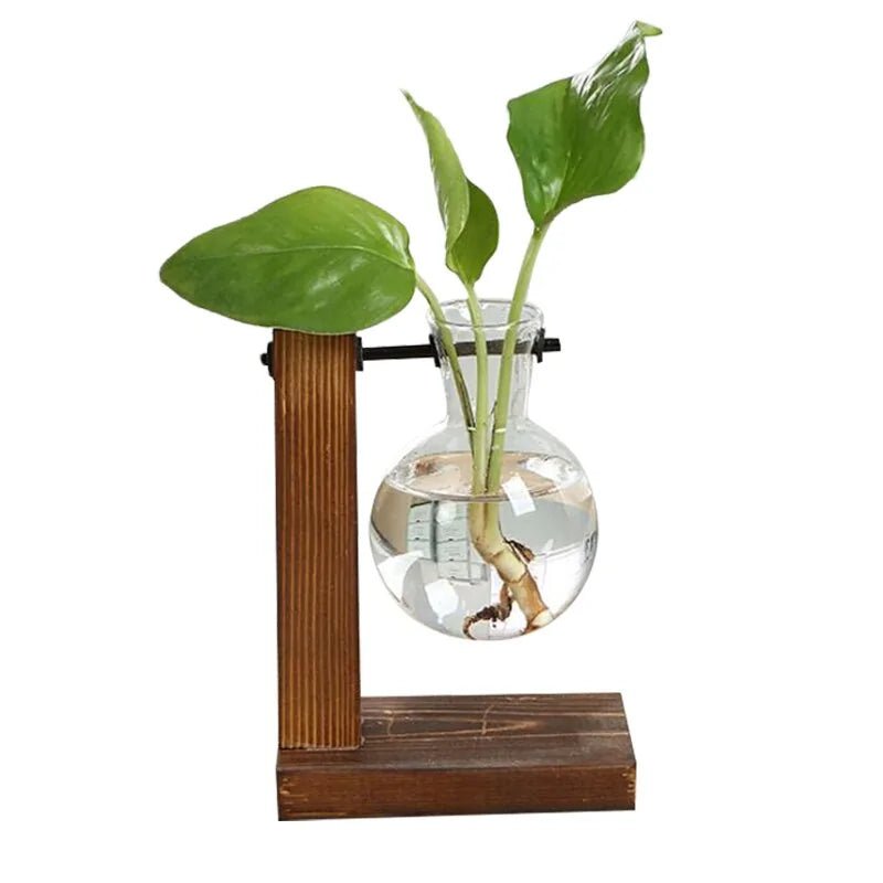 Terrarium Hydroponic Plant VasesType A