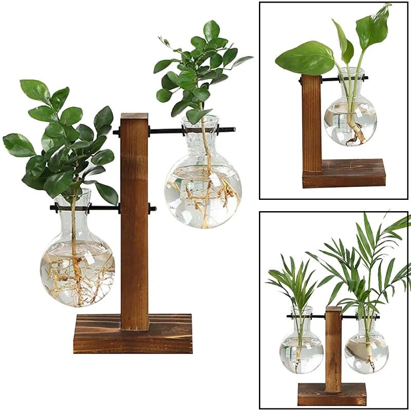 Terrarium Hydroponic Plant VasesType A
