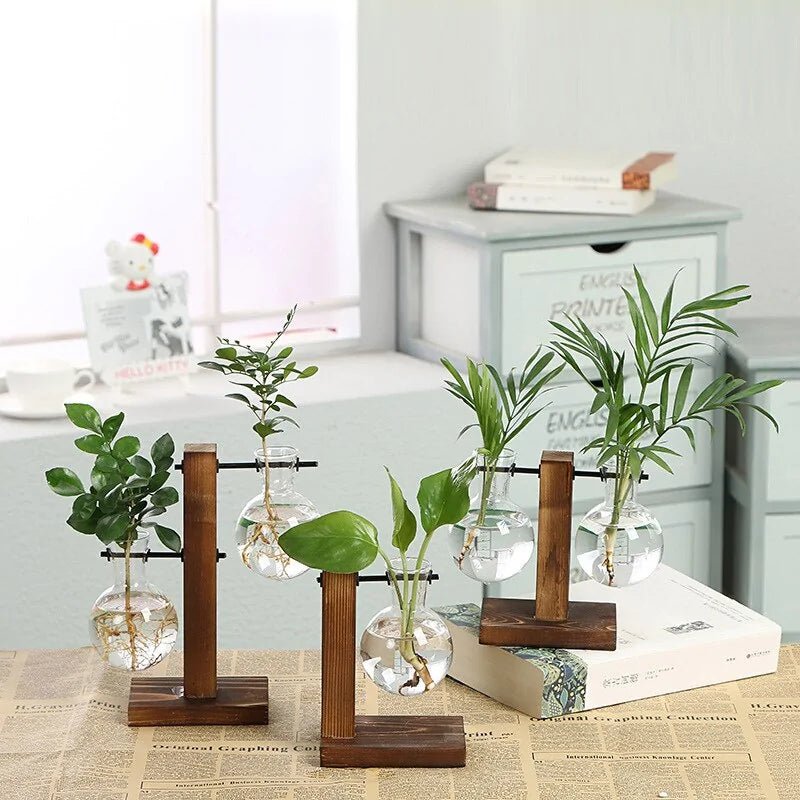 Terrarium Hydroponic Plant VasesType A