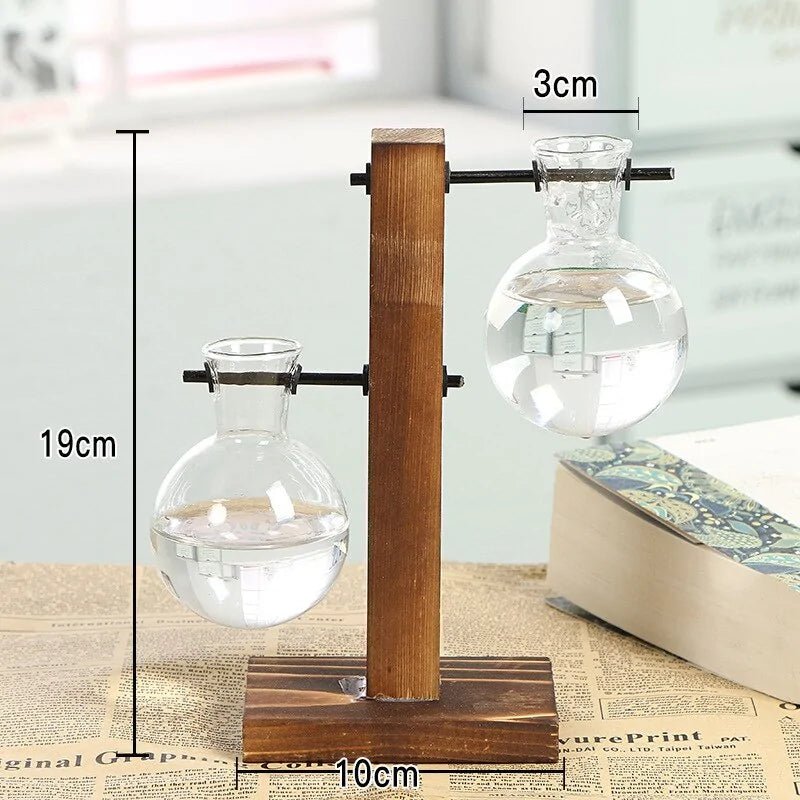 Terrarium Hydroponic Plant VasesType A