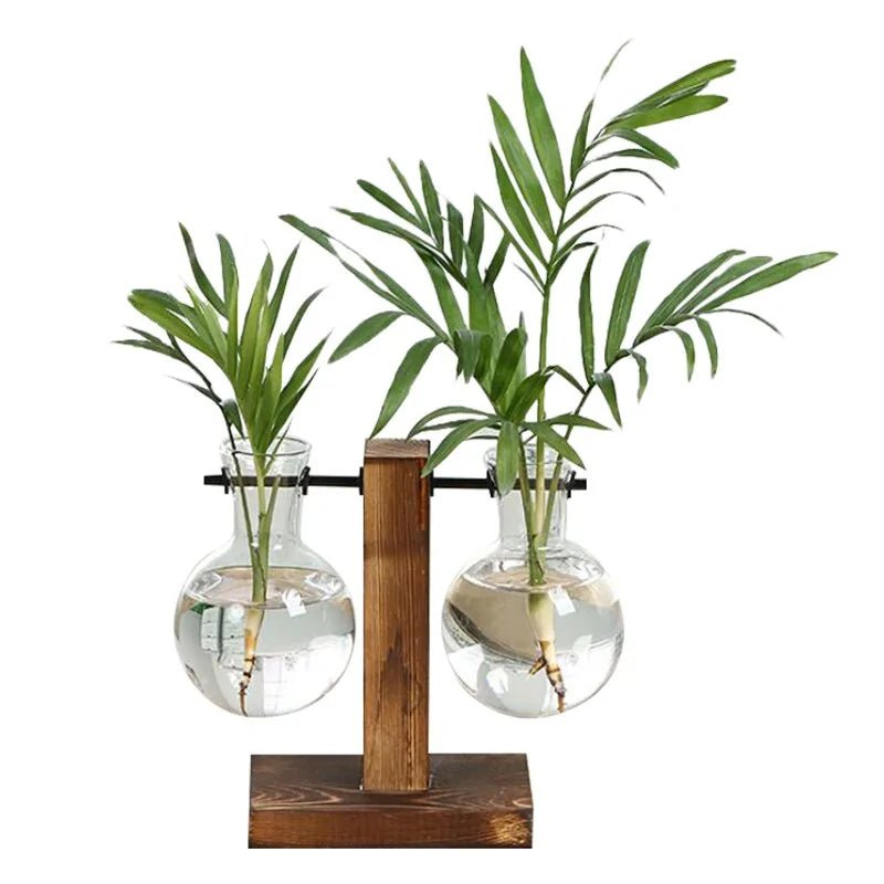 Terrarium Hydroponic Plant VasesType A