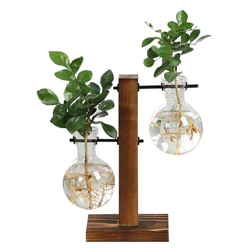 Terrarium Hydroponic Plant VasesType A
